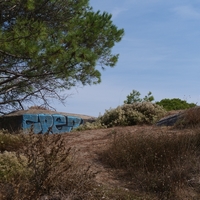 Photo de France - La randonnée de la Tamarissière